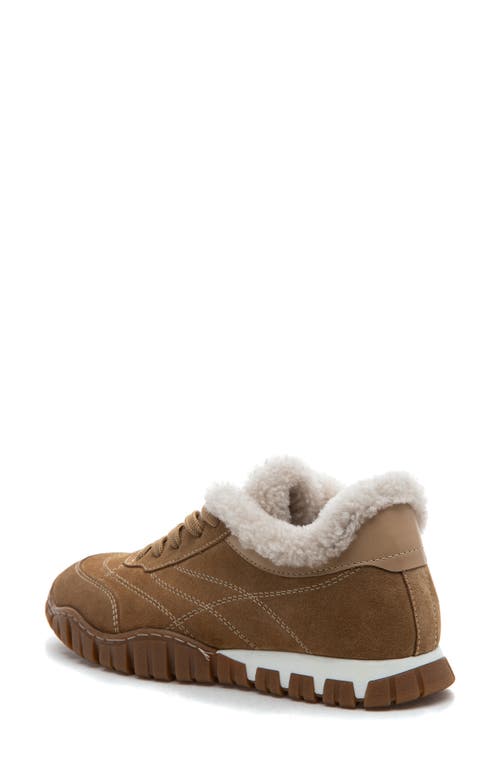275 Central Qutie Genuine Shearling Lined Sneaker In Brown