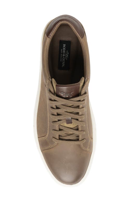 Rodd & Gunn Transit Sneaker In Sandstone