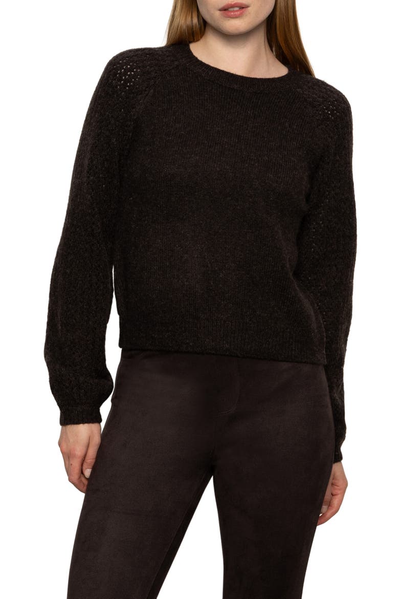 Cozy Moment Pointelle Sleeve Detail Sweater, Main, color, SEMI SWEET