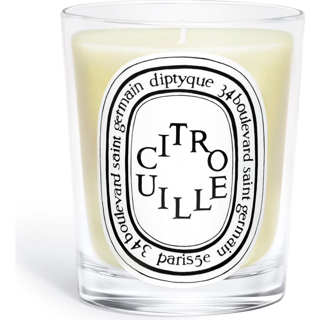 Diptyque Citrouille (pumpkin) Classic Candle In Transparent