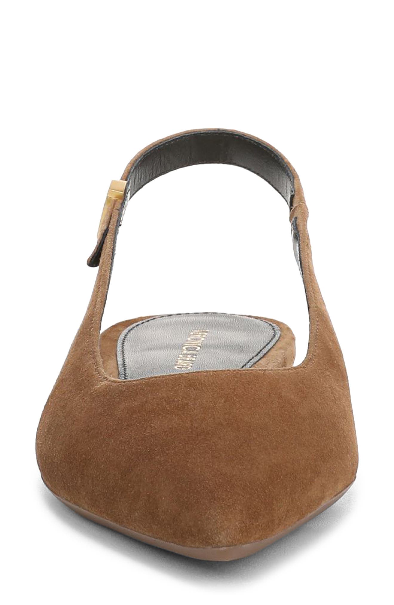 Shina Slingback Pointed Toe Flat, Alternate, color, HAZELWOOD