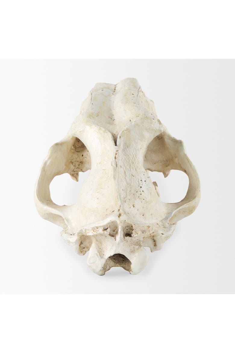 Fozzil 9L x 9W Resin Sabretooth Skull Replica, Alternate, color, Beige
