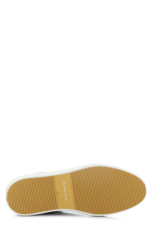 AMBITIOUS AMBITIOUS 11218 LOW TOP SNEAKER 