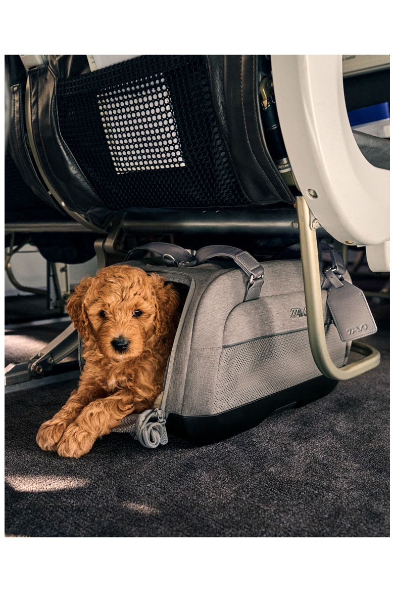 Dupree II Airline Pet Car Seat, Alternate, color, FAWN
