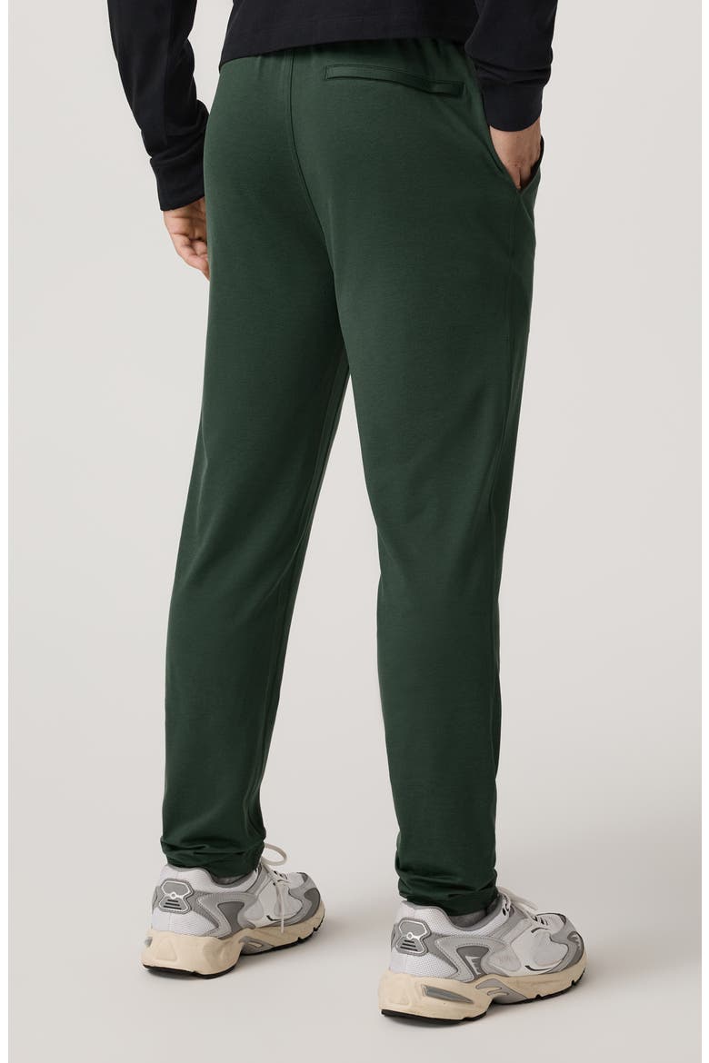 Ponto Performance Pants, Alternate, color, SPRUCE HEATHER
