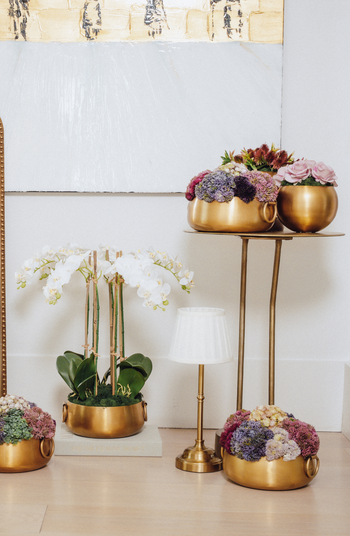 Beatrix Gold Sedum Arrangement