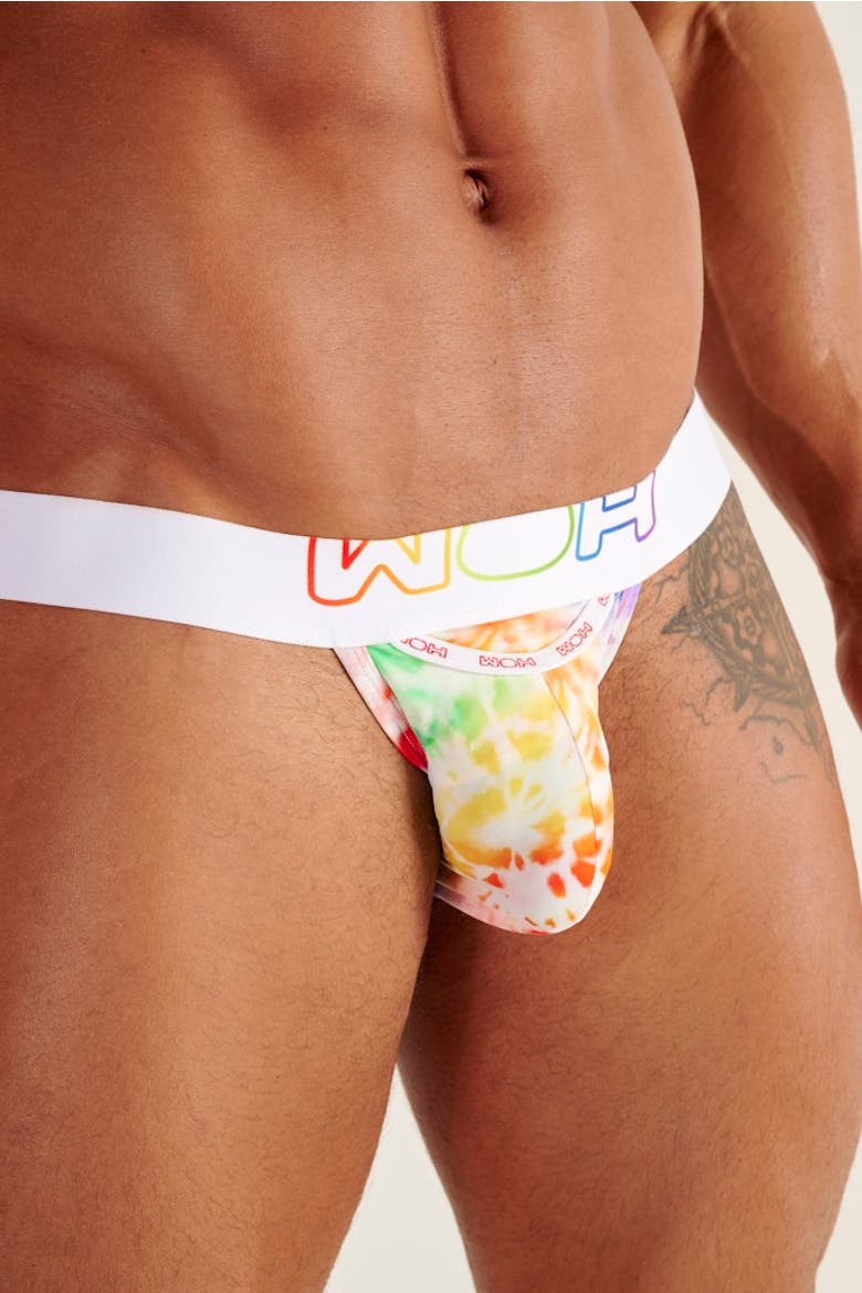 WOH Sexy Fun Tanga Rainbow Briefs, Alternate, color, Multico Print