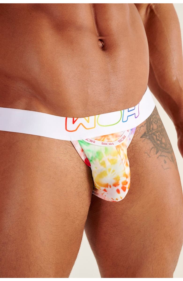 HOM WOH Sexy Fun Tanga Rainbow Briefs, Alternate, color, Multico Print