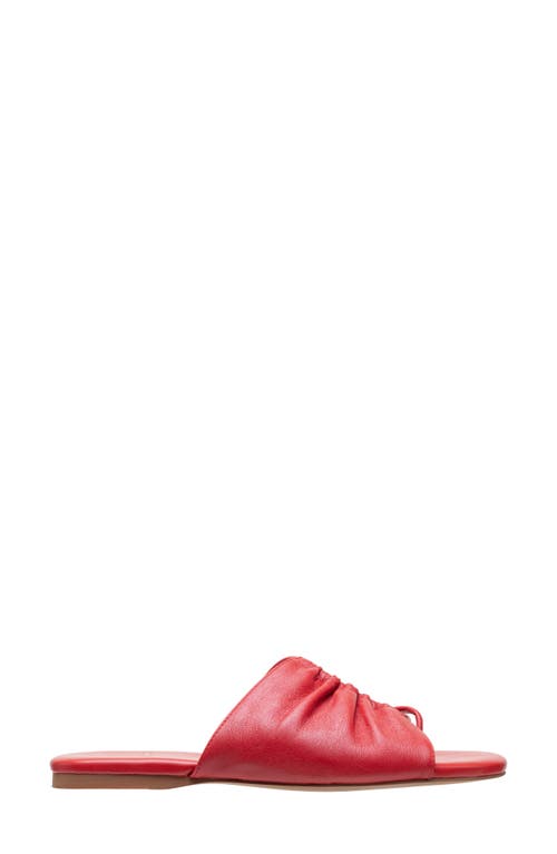 Linea Paolo Lane Toe Loop Sandal In True Red