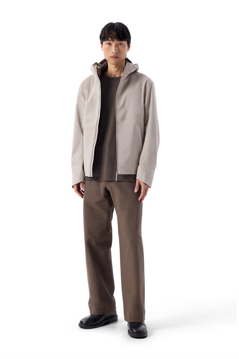 Arris Gore-Tex® Waterproof Hooded Jacket, Alternate, color, SILKSTONE