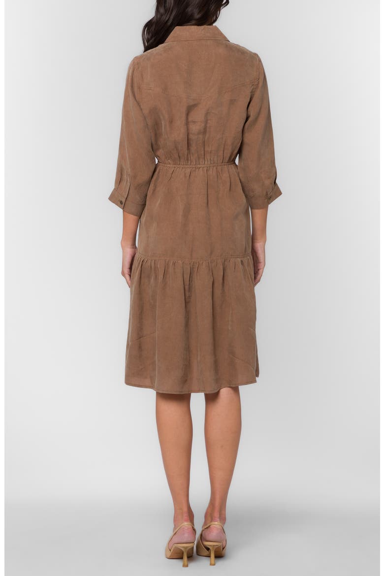 Western Shirtdress, Alternate, color, BROWN