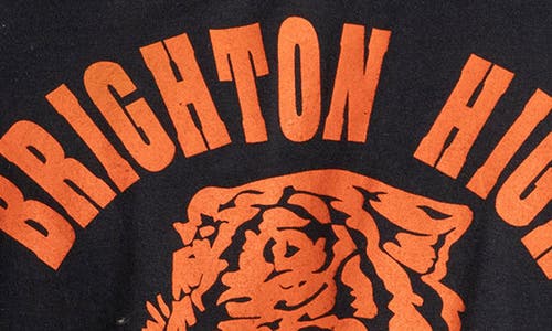 Elwood Vintage Brighton Bengals Tee In Multi