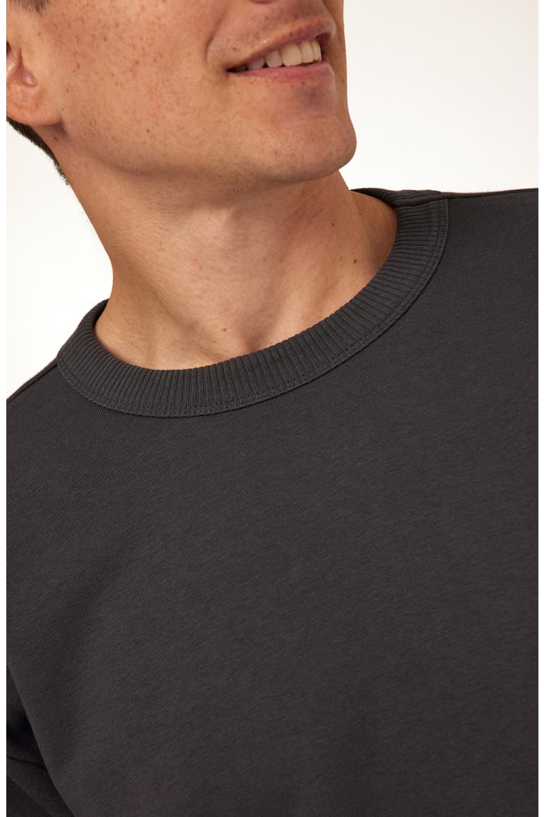 Maxwell Cotton Blend T-Shirt, Alternate, color, CARBON
