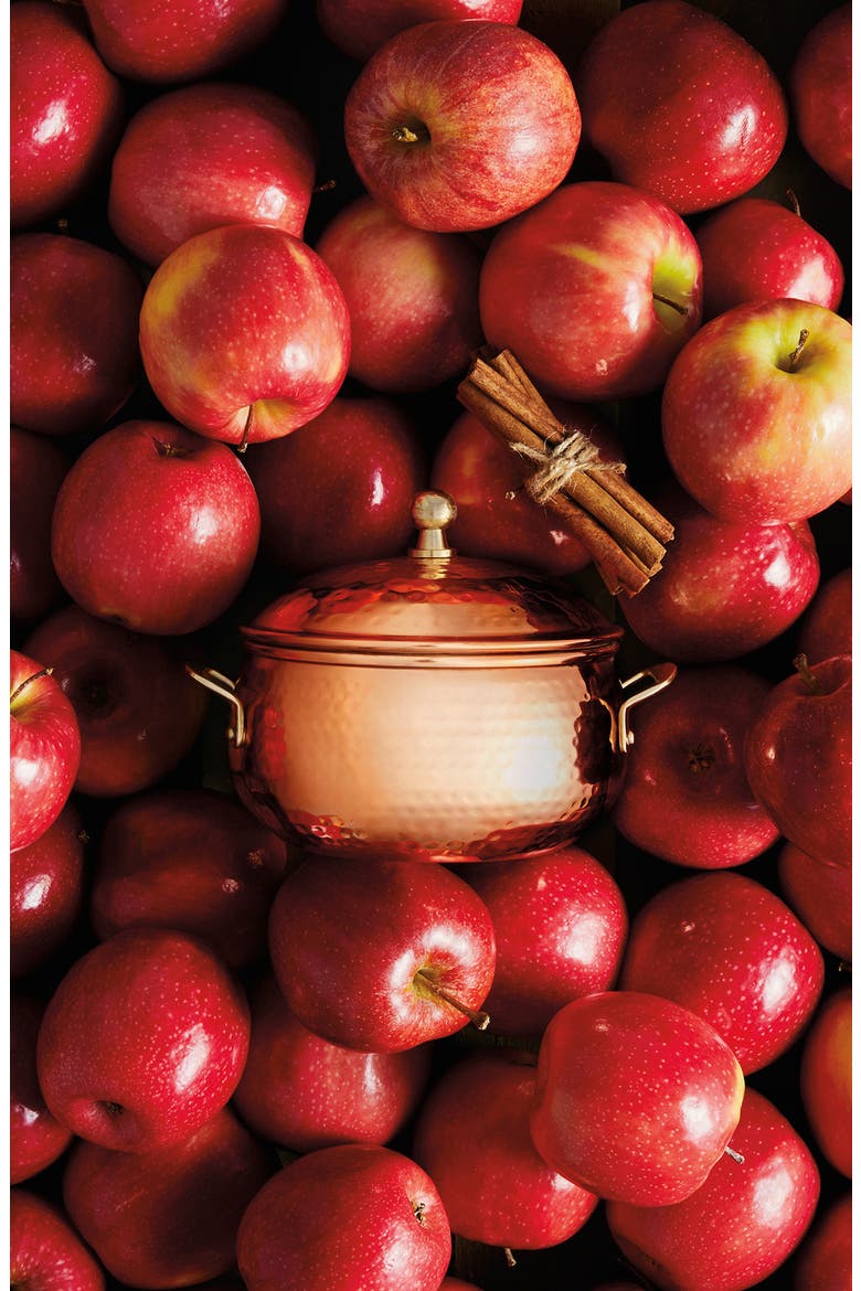 Simmered Cider Copper Pot Three-Wick Candle, Alternate, color, COPPER