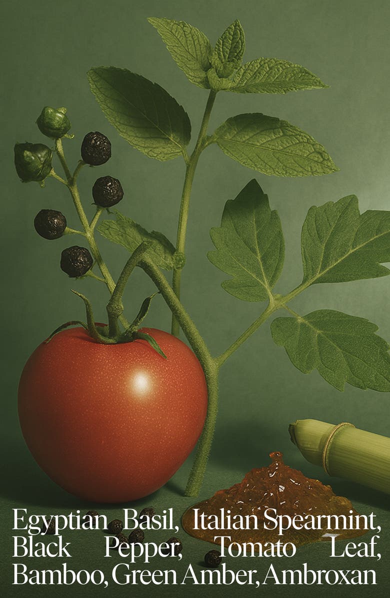 SIBLINGS Farm Tomatoes Candle Refill, Alternate, color, White