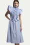 selected Stripe