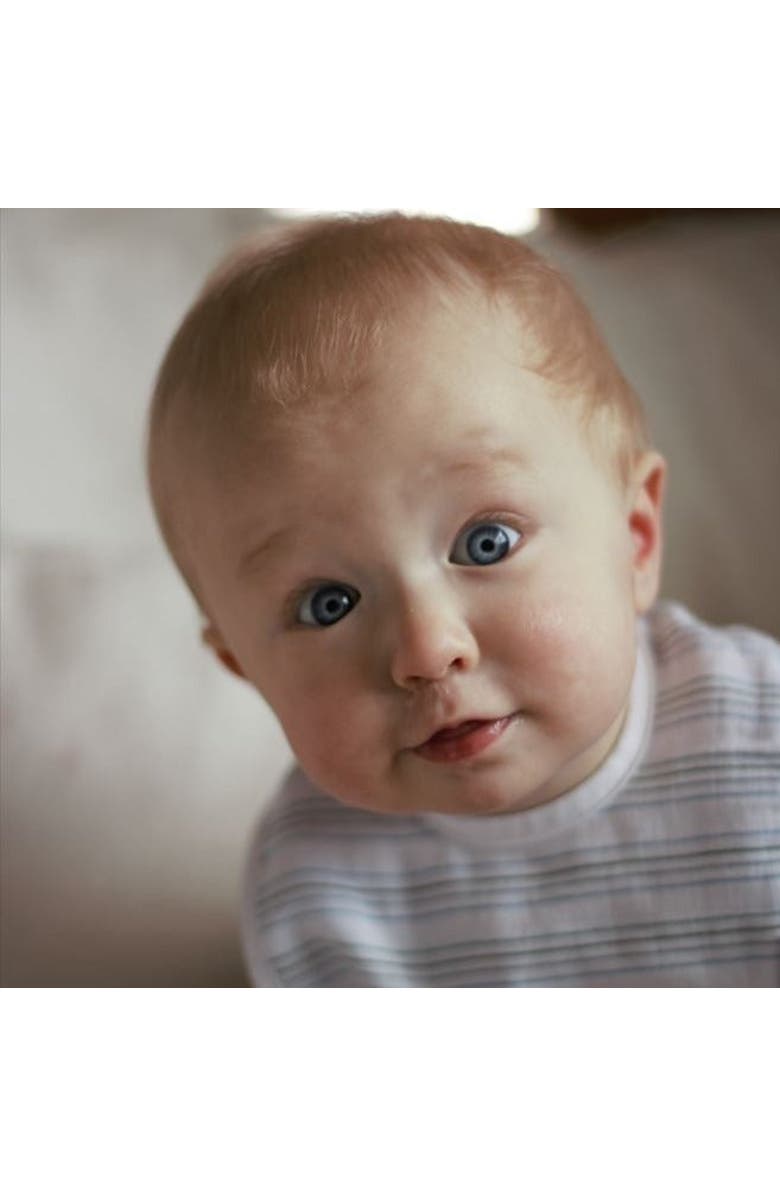 Ely's & Co. Muslin Terry Bib 3 Pack, Alternate, color, Blue Stars