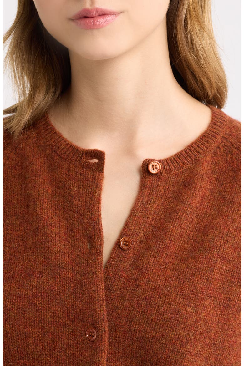 Peroline Cashmere Cardigan, Alternate, color, EMBER
