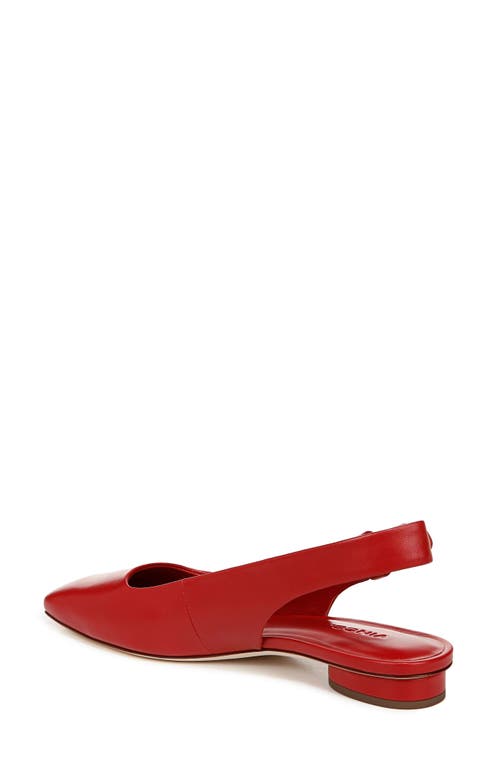 Vince Vida Slingback Flat In Crimson