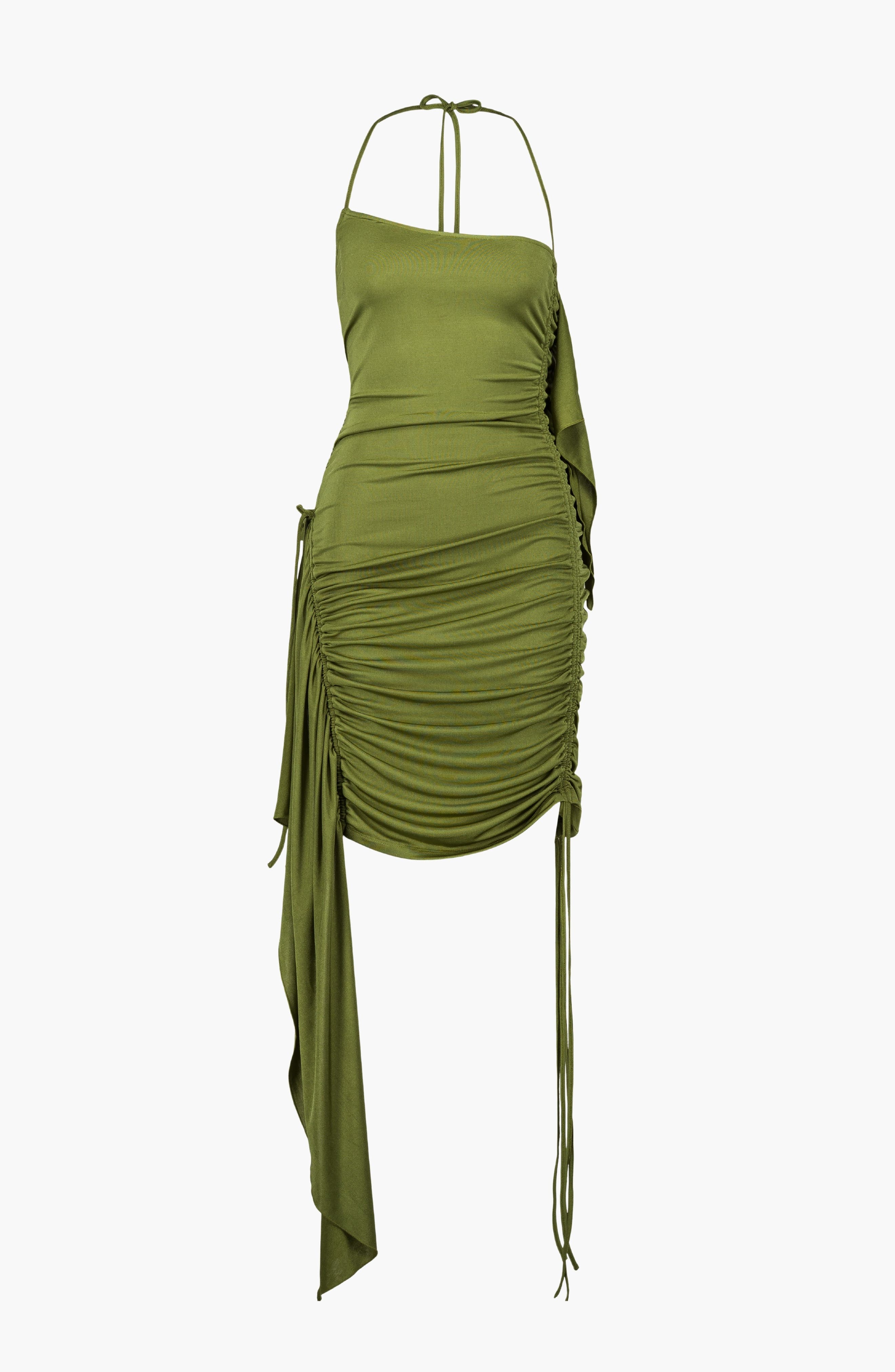 selected Olive