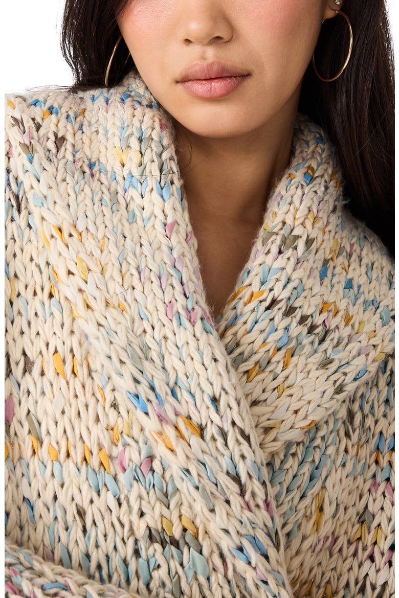 Enid Marled Shawl Collar Cardigan, Alternate, color, MULTI