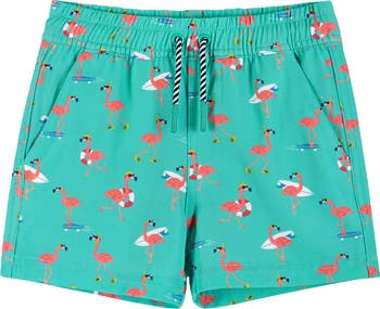 Flamingo Rashguard T-Shirt & Swim Shorts Set