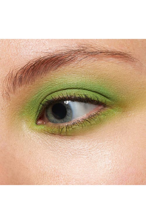 Neen Pretty Shady Pressed Pigment