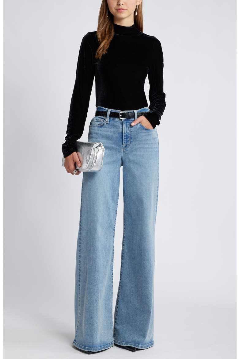 Long Sleeve Velvet Top, Alternate, color, BLACK