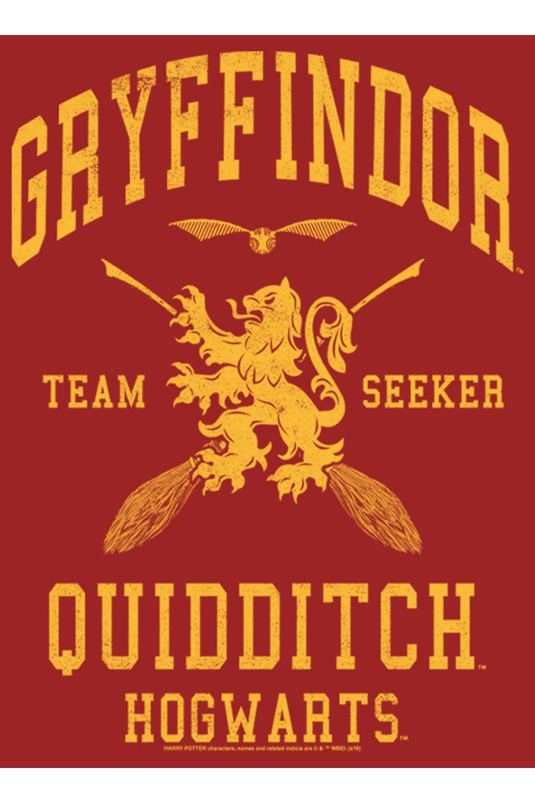 Women's Harry Potter Gryffindor Quidditch Gold Team Seeker  Graphic T-Shirt, Alternate, color, Red