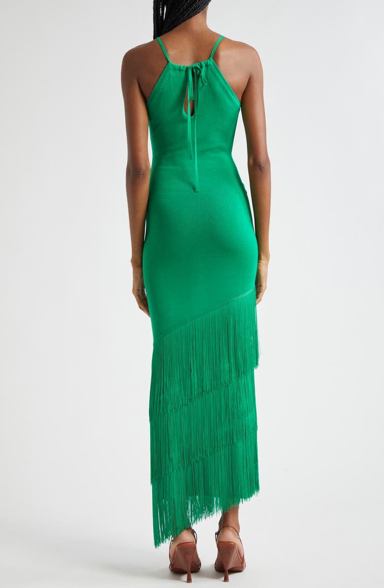 Elexiay Lokoja Sleeveless Fringe Hem Dress, Alternate, color, 