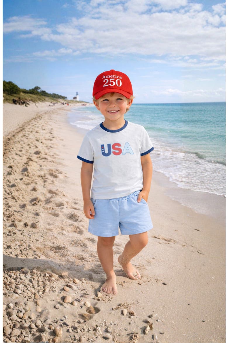 America 250th Baseball Hat, Alternate, color, Red
