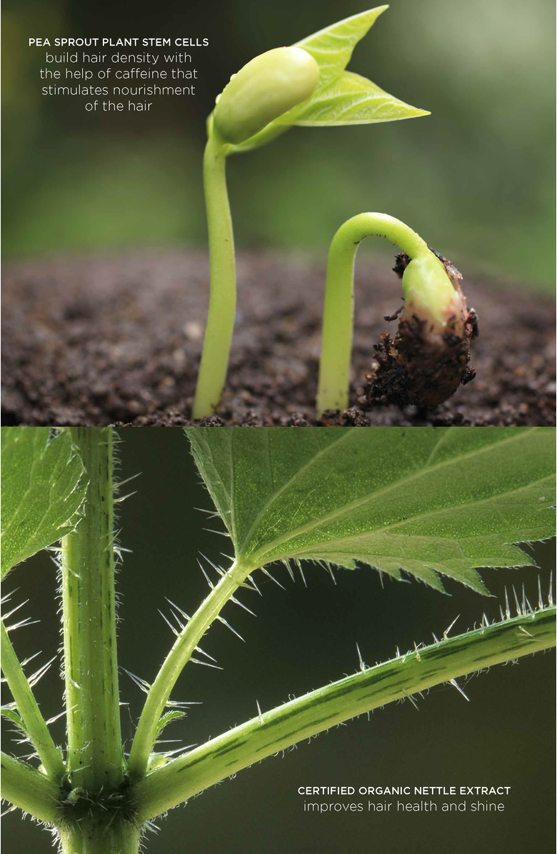 Intelligent Nutrients Pure Plenty<sup>®</sup> Conditioner, Alternate, color, 8.0 Fl Oz