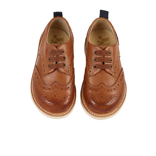 Young Soles Brando Kids Brogue Shoe In Multi