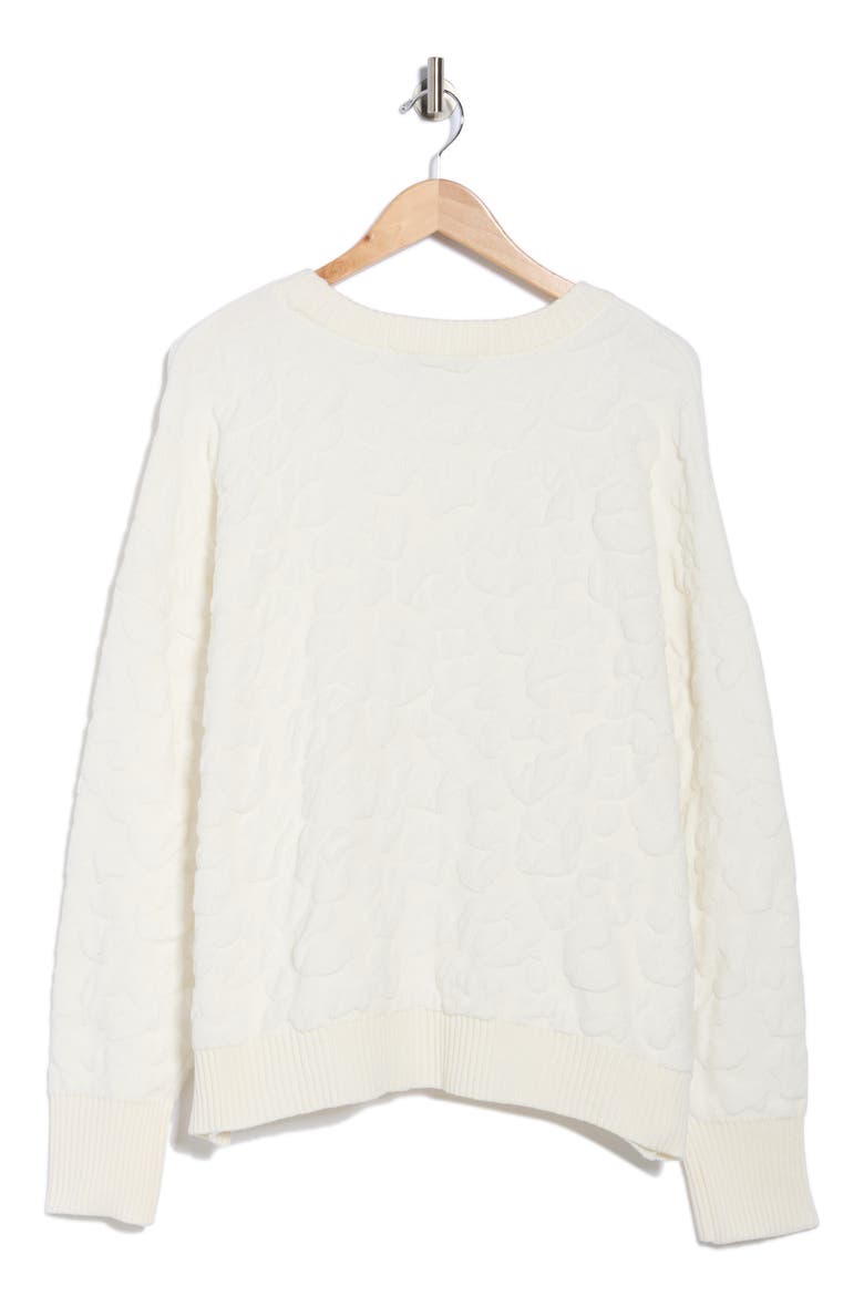 Cheetah Chenille Sweater, Alternate, color, IVORY
