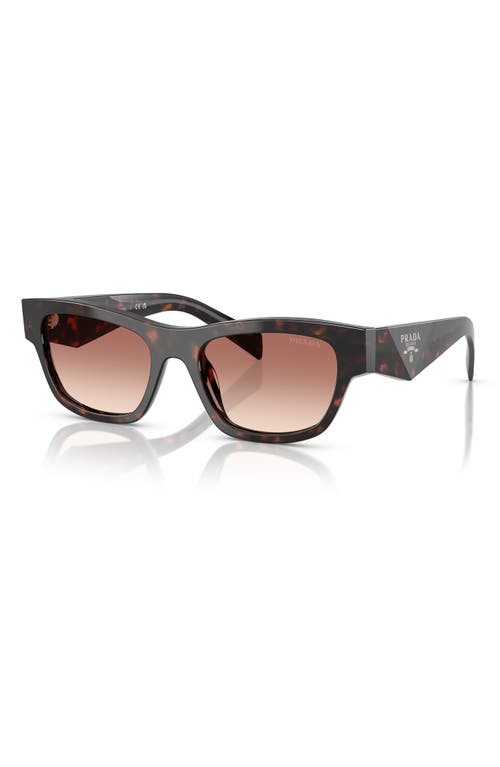 Prada Womens Brown Pr B09s Butterfly-frame Acetate Sunglasses In Bordeaux