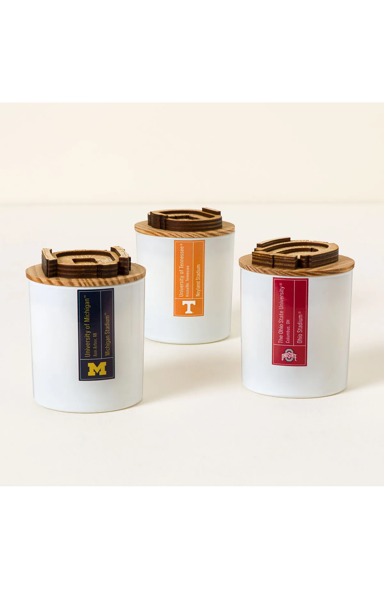 Uncommon Goods College Football Stadium Sculpture Candle, Alternate, color, University Of Michigan