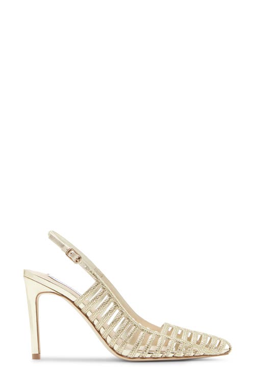 Shop Steve Madden Carleight Slingback Pointed Toe Pump In Gold