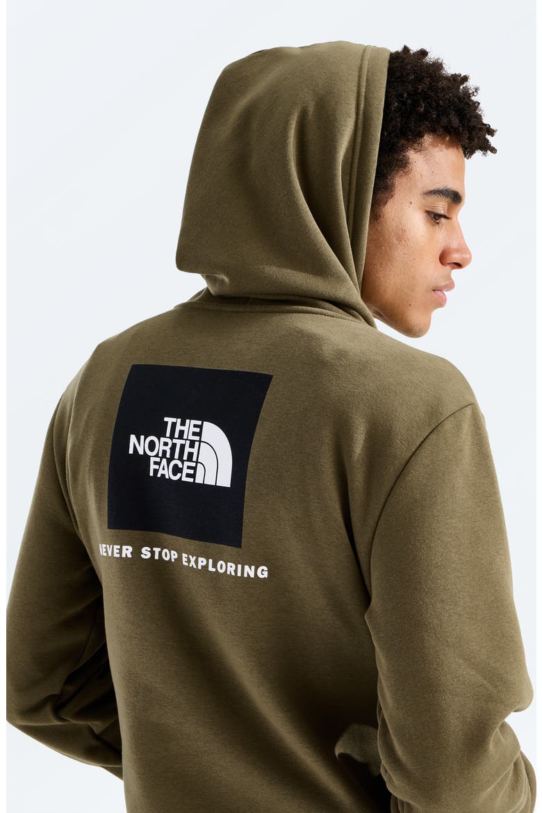 Evolutionm Box NSE Pullover Hoodie, Alternate, color, CARAWAY SEED