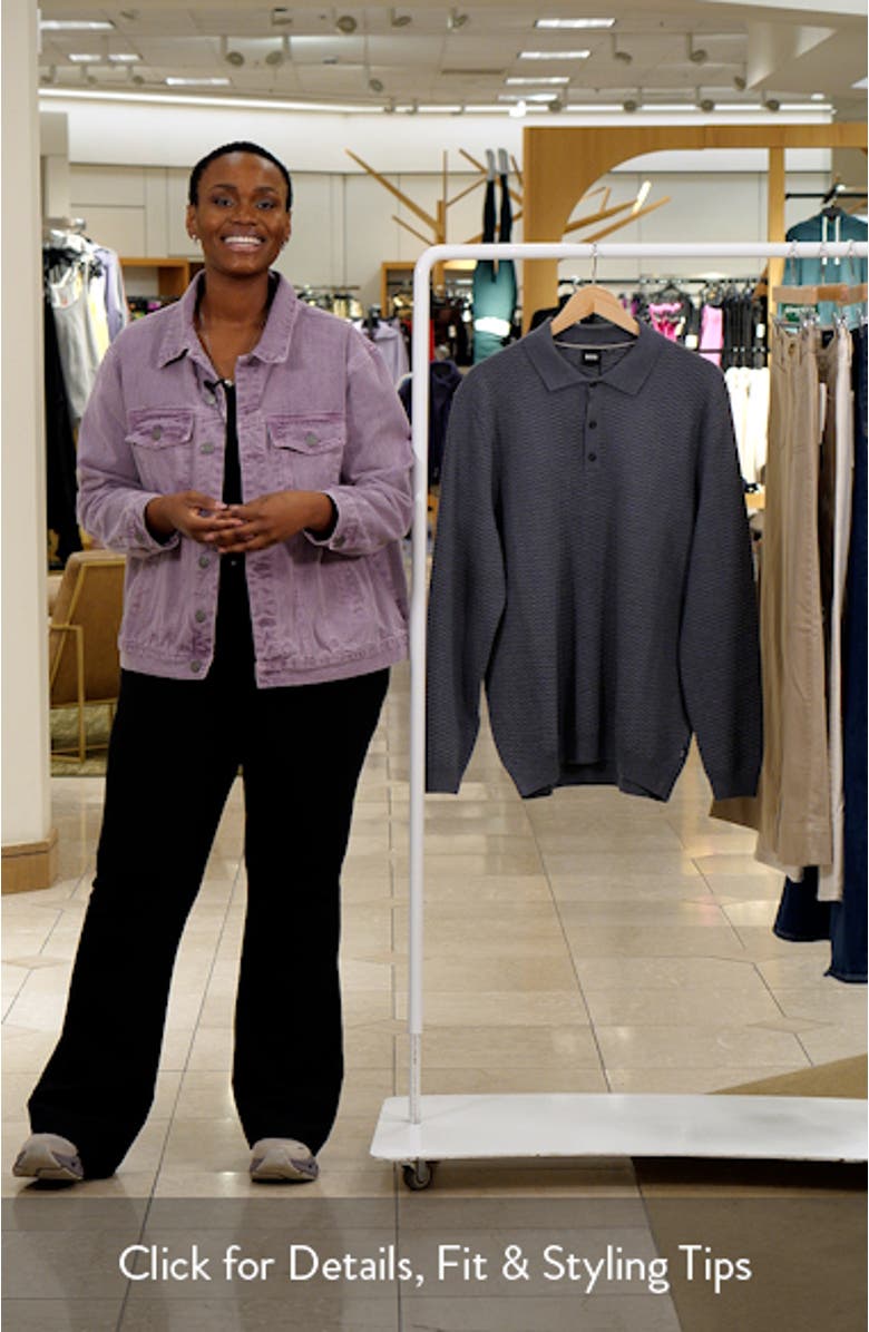 Diluigi Long Sleeve Virgin Wool Blend Polo Sweater, sales video thumbnail