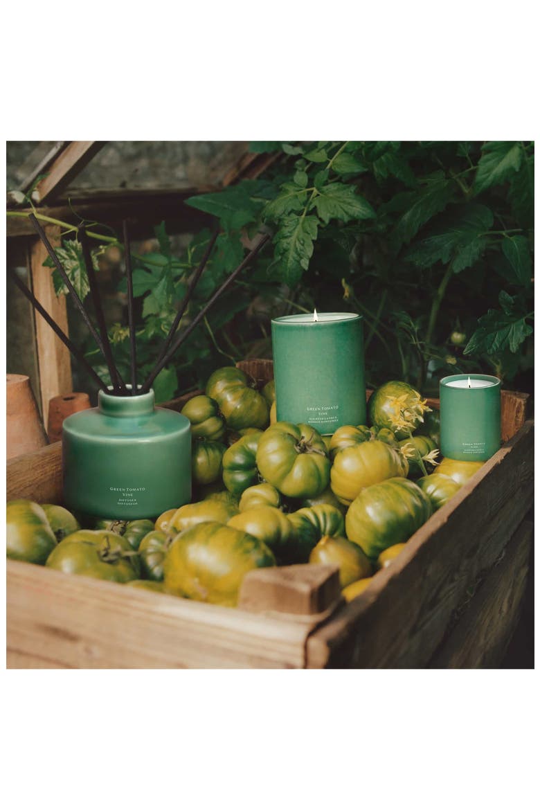 Green Tomato Vine Townhouse Candle (Nordstrom Exclusive) | Nordstrom