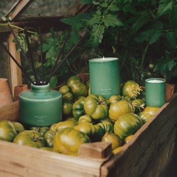 Jo Malone London™ Green Tomato Vine Townhouse Candle | Nordstrom