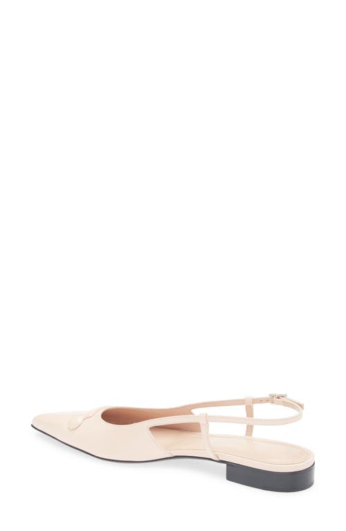 Marni Trunkaroo Pointed Toe Slingback Flat