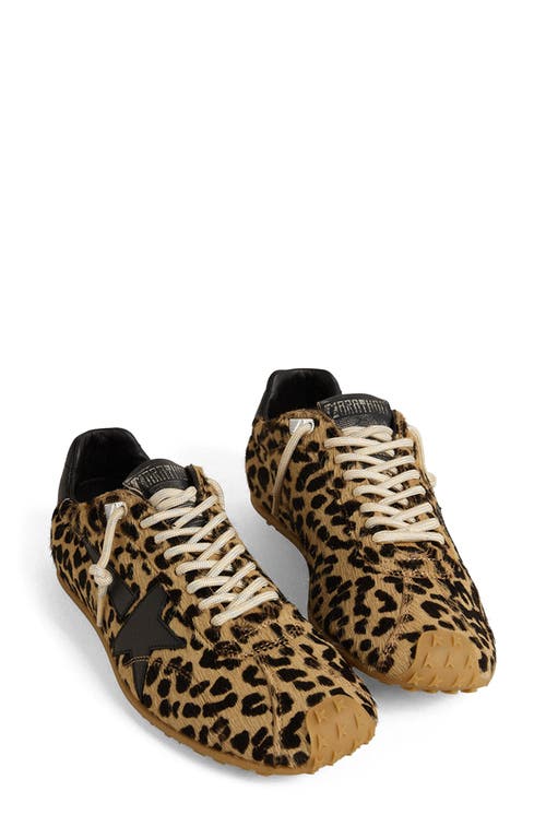 Golden Goose Marathon Speed Genuine Calf Hair Sneaker In Brown