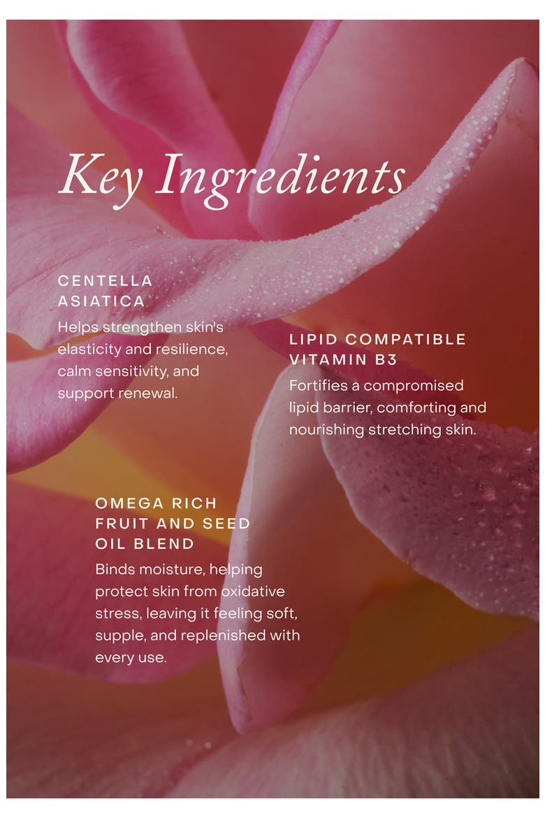 Mindful Mama Belly & Body Oil, Alternate, color, NO COLOR