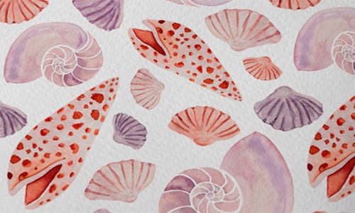 Deny Designs Seashell Square Throw Pillow In Orange
