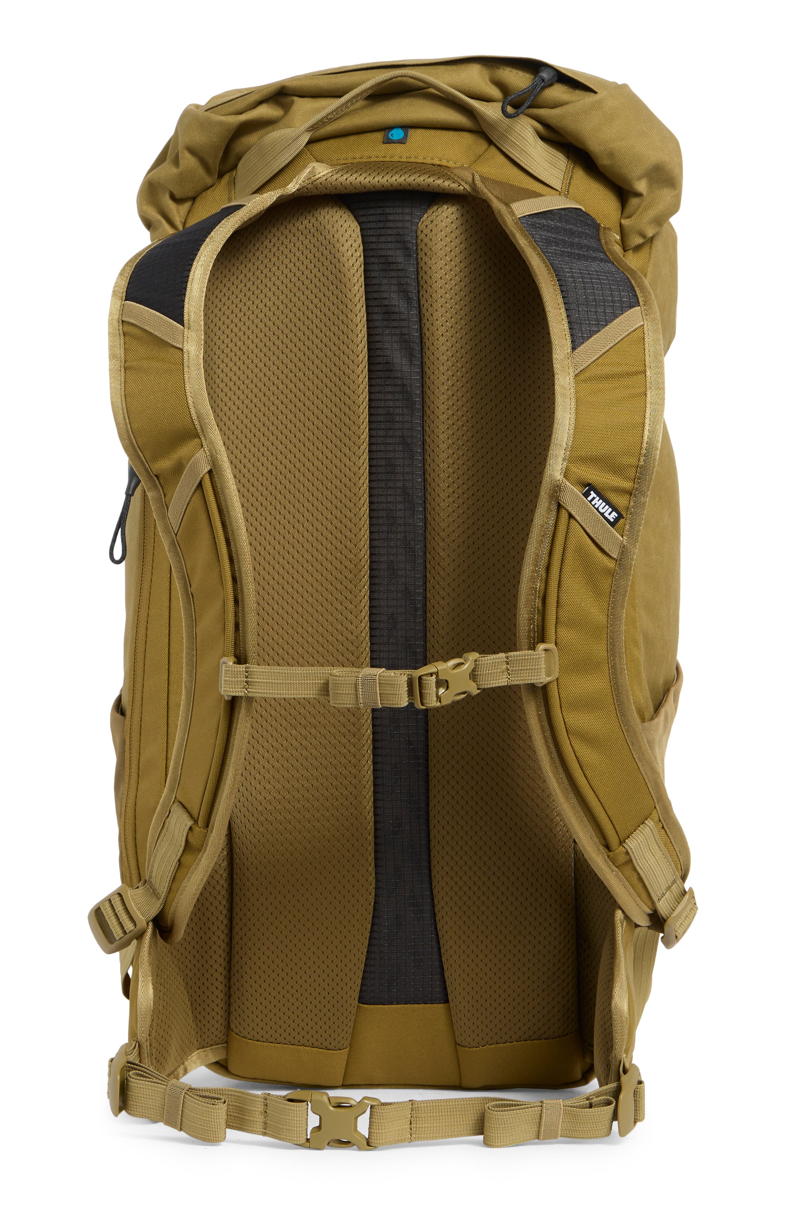 Thule AllTrail X 25-Liter Hiking Bag, Alternate, color, Nutria