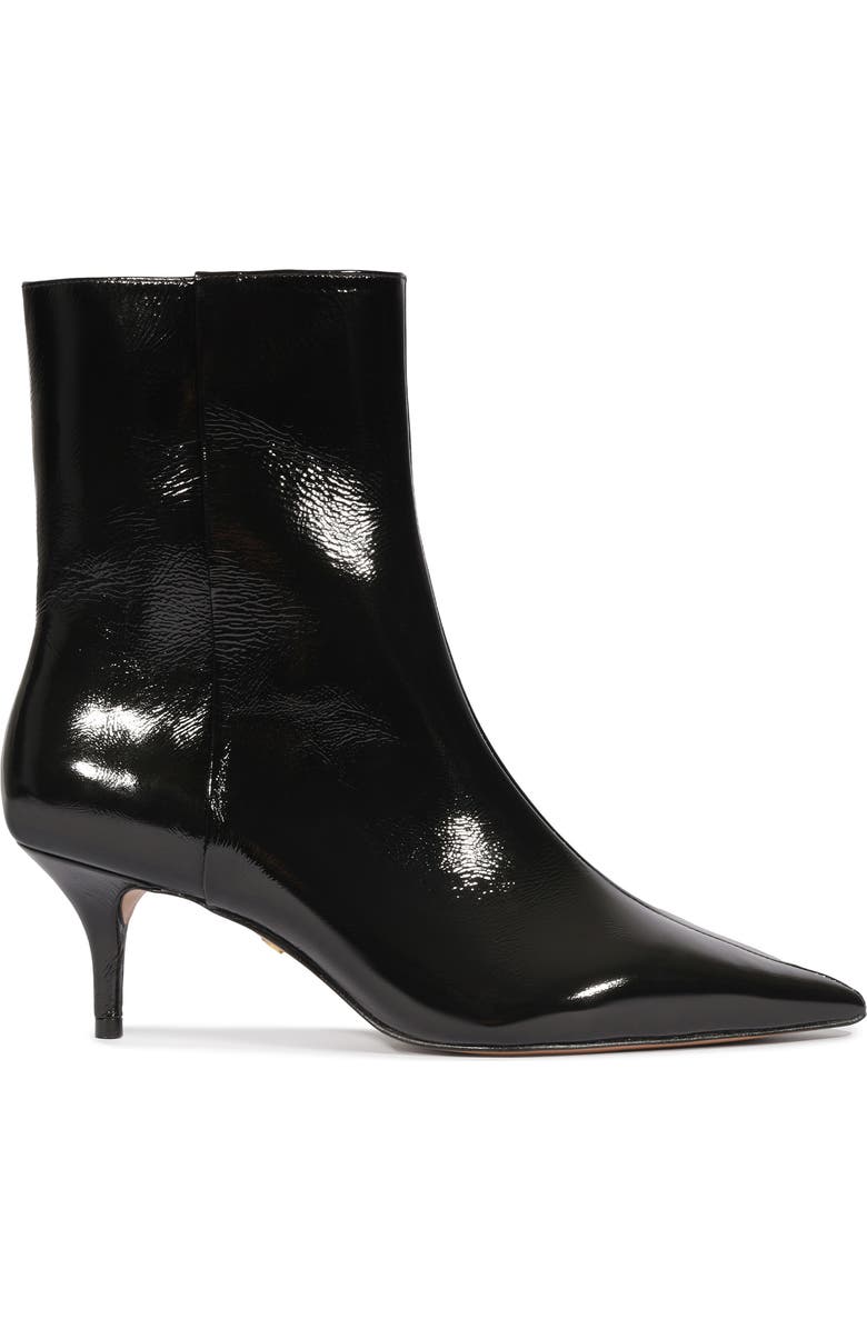 Arezzo Sasha Pointed Toe Boot, Alternate, color, Black