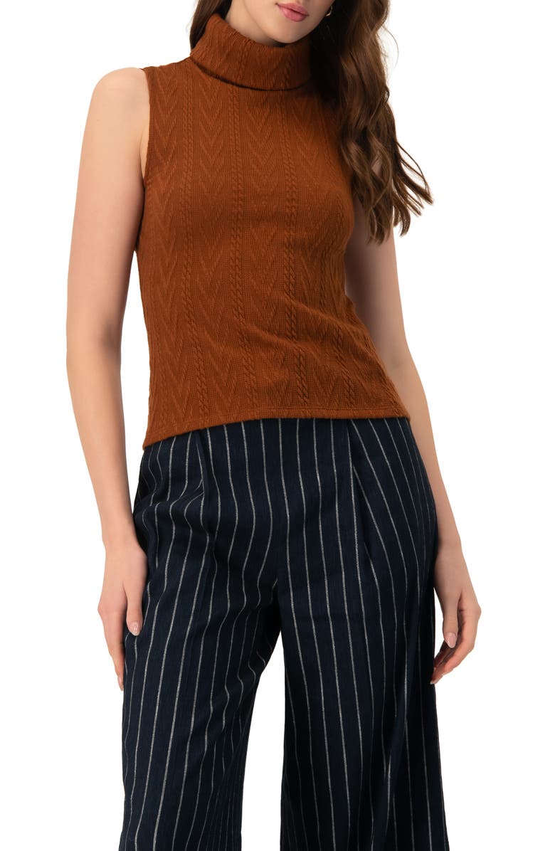 IVONNE High Neck Sleeveless Knit Top, Alternate, color, Brown