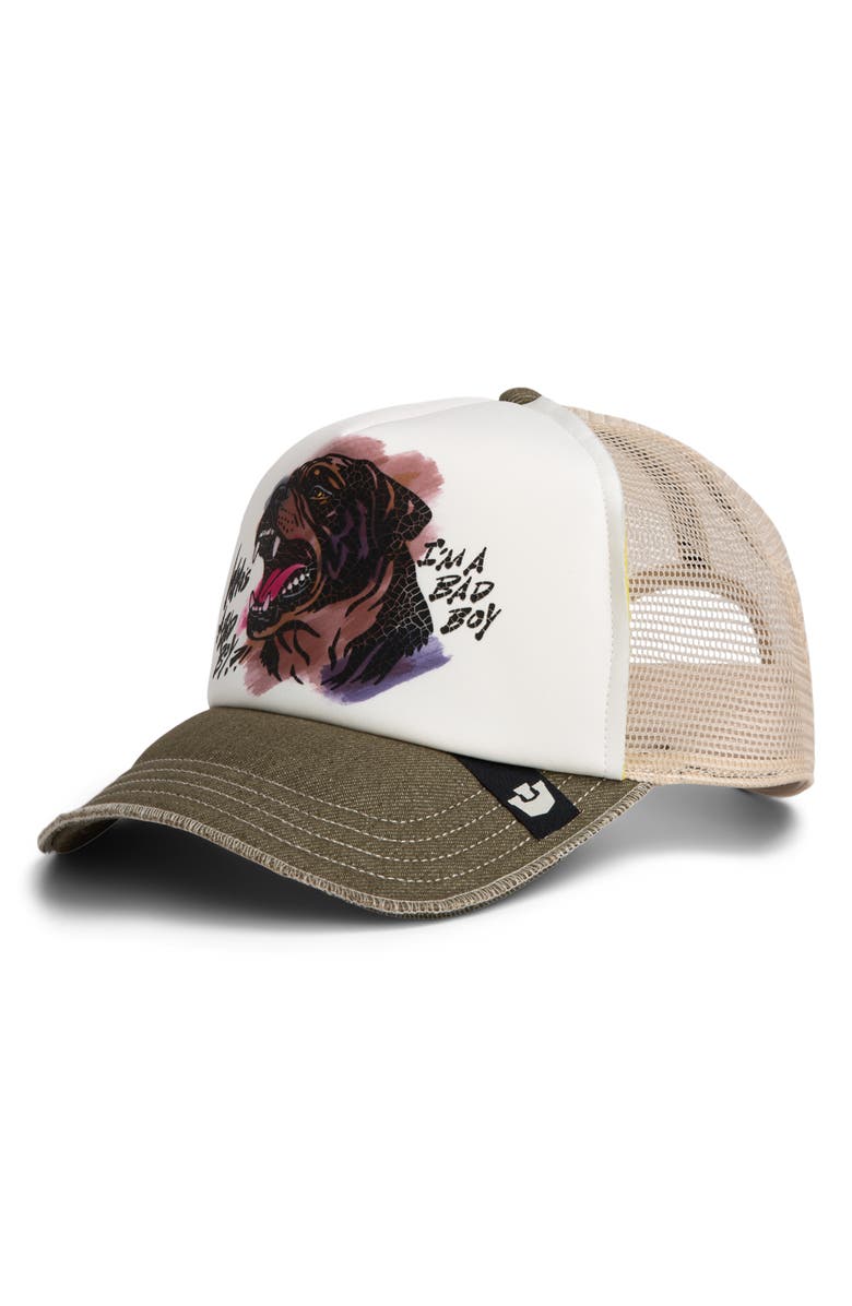 Goorin Bros. Bad Boy Disruption Snapback Trucker Hat, Main, color, Biscuit