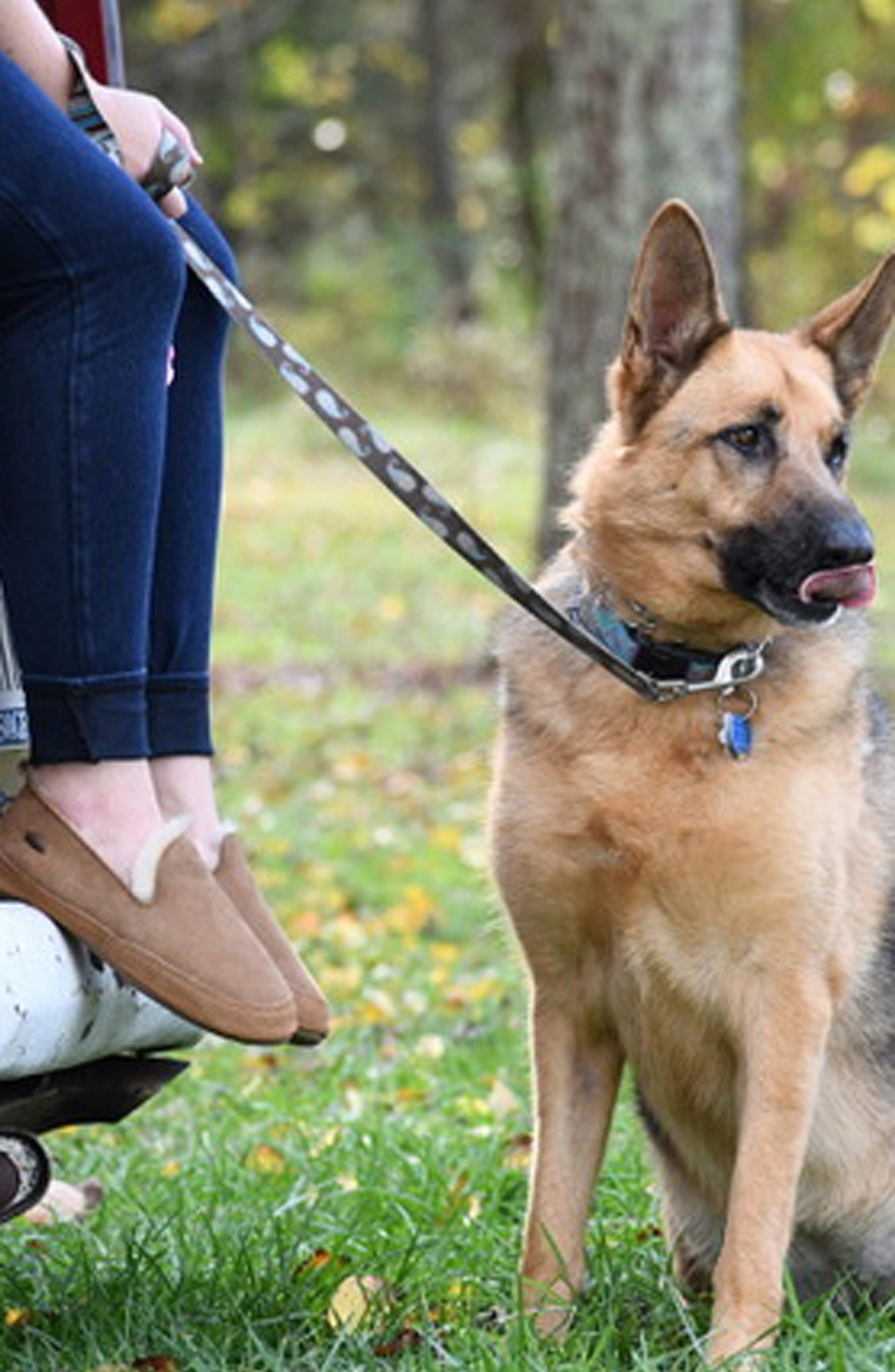 Acorn Genuine Shearling Slipper, Alternate, color, 